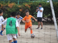 IMG_8558_R_R