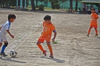IMG_8584_R_R