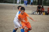 IMG_8600_R_R