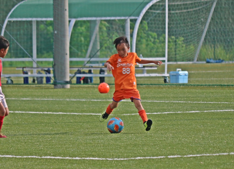 IMG_4794_R_R