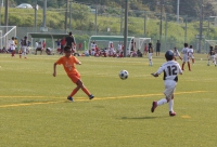 IMG_0031_R_R