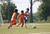 IMG_0042_R_R