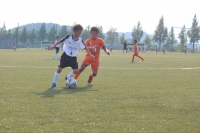 IMG_0086_R_R