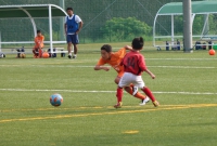 IMG_4761_R_R