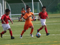 IMG_4789_R_R