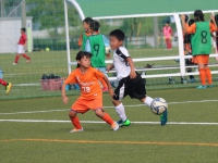 IMG_5338_R_R