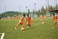 IMG_8880_R_R