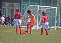 IMG_8997_R_R