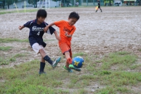 IMG_6573_R_R