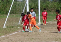 IMG_7975_R