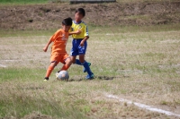 IMG_8246_R