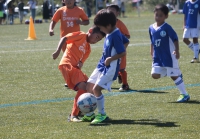 IMG_0079_R