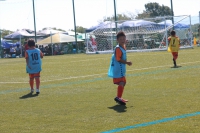 IMG_0236_R