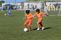 IMG_9954_R