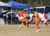 IMG_2181_R