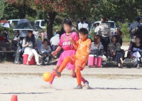 IMG_2017_R