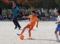 IMG_2462_R