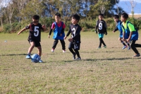 IMG_6319_R