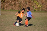 IMG_6497_R