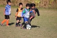 IMG_6501_R
