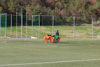IMG_9438_R