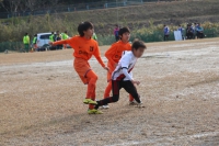 IMG_9870_R