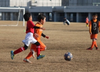IMG_2226_R