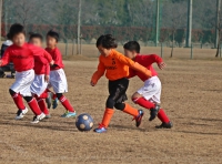 IMG_2238_R