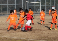 IMG_2342_R