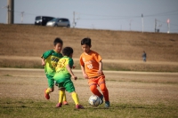 IMG_8486_R