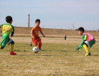 IMG_8529_R