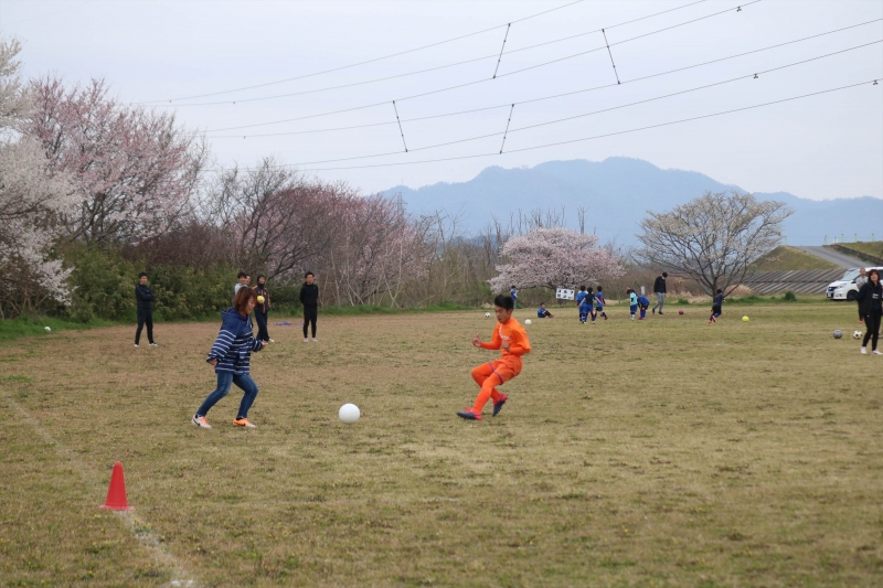 IMG_8529_R