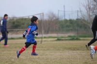 IMG_8235_R