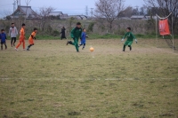 IMG_8917 (2)_R