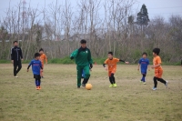 IMG_8953 (2)_R