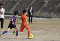 IMG_0386_R