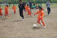 IMG_2478_R