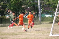 IMG_4973_R