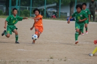 IMG_8782_R