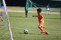 IMG_0008_R