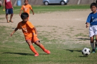 IMG_0041_R