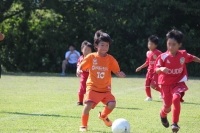 IMG_1916_R