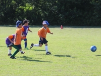 IMG_1946_R