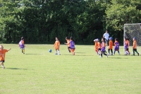 IMG_1950_R
