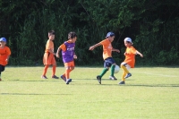 IMG_2024_R
