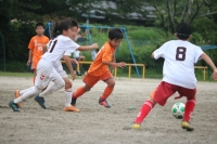IMG_1181_R