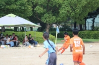 IMG_5781_R
