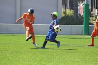 IMG_4787_R