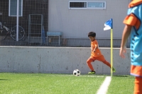 IMG_2379_R