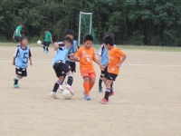 IMG_5262_R